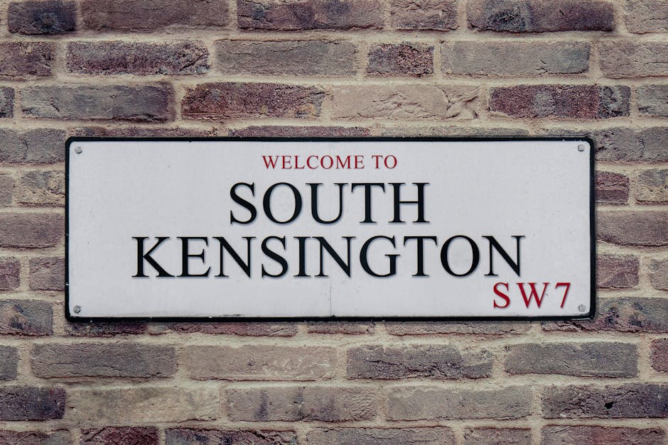 A close-up view of a flowering magnolia bush with large pink and white blossoms in full bloom, situated in front of a brick wall with a British street sign mounted on it. The sign reads 'The Royal Bor